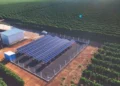 mercado-de-energia-limpa-avanca-no-campo-e-ajuda-produtores-a-economizar