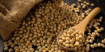 soja-e-trigo-hoje:-confira-as-cotacoes-para-esta sexta-feira-(9)