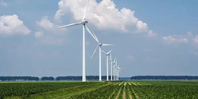 municipios-tem-ate-12-de-janeiro-para-contribuir-com-novas-regras-de-licenciamento-de-parques-eolicos