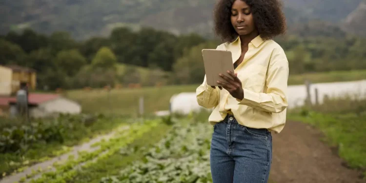 expansao-do-4g-em-areas-rurais-beneficia-1,7-milhao-de-pessoas-entre-2024-e-2025