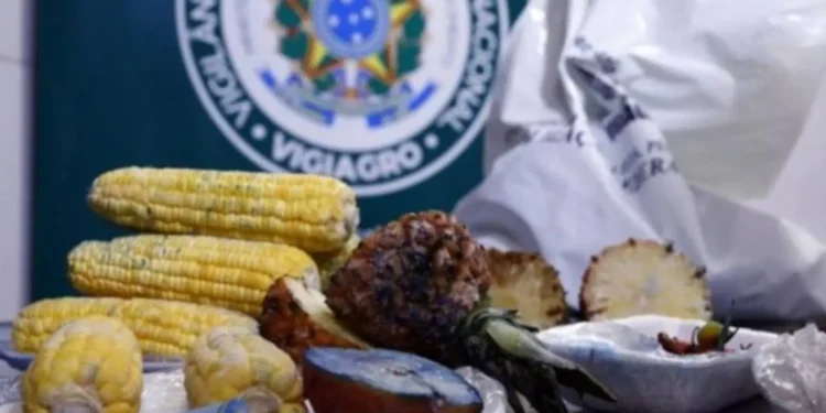 mapa-atualiza-regra-para-entrada-de-produtos-agropecuarios-no-pais