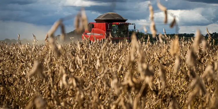 o-que-produtores-devem-esperar-do-clima-nos-proximos-meses-nas-diferentes-regioes-do-brasil?