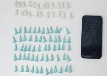 pm-retira-foragido-da-justica-de-circulacao-e-apreende-drogas-em-fazenda-coutos