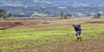 seguro-rural-fecha-2025-com-3,2-milhoes-de-hectares-segurados,-pior-desempenho-em-10-anos